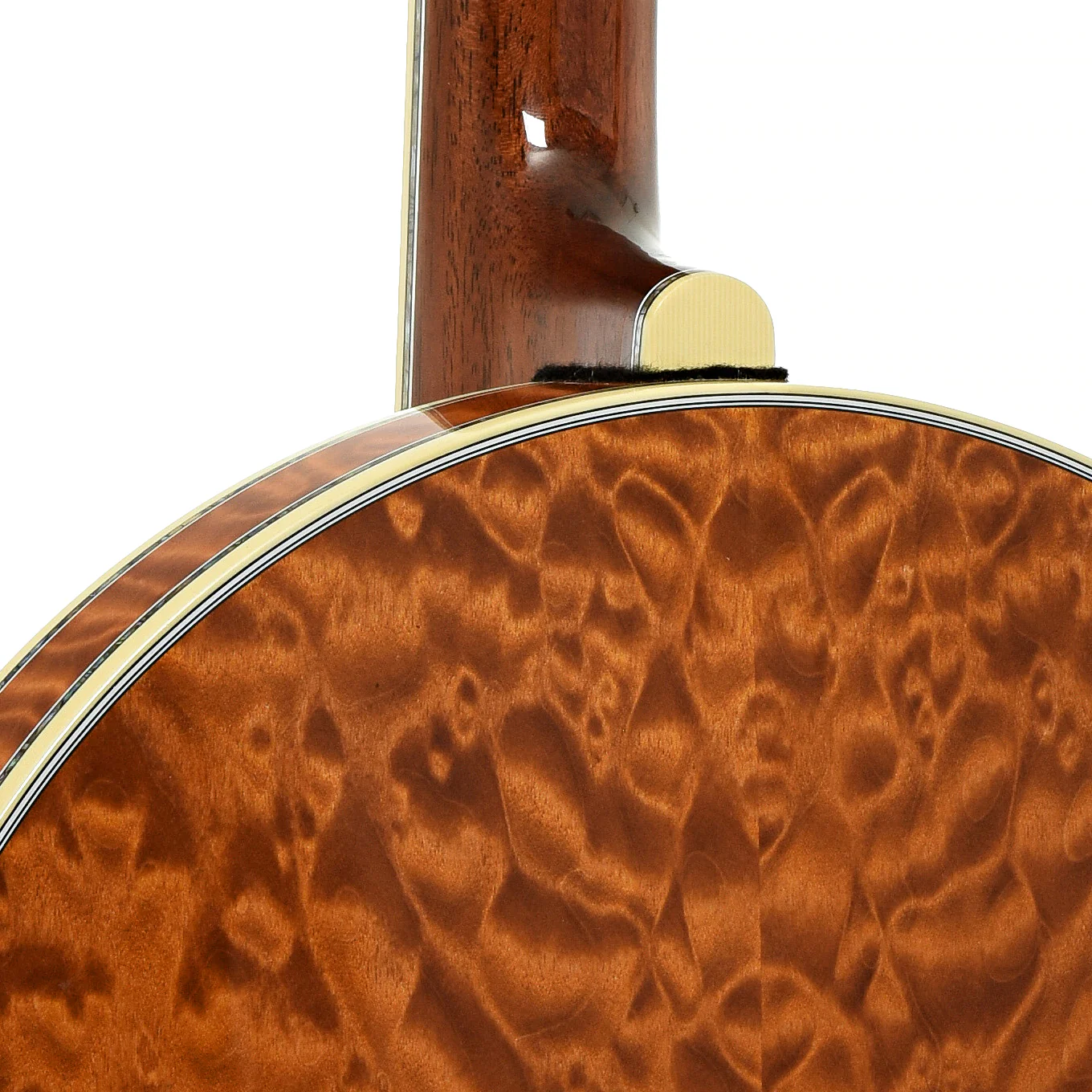 Deering Tony Trischka Golden Clipper Resonator Banjo (2018) - Image 12