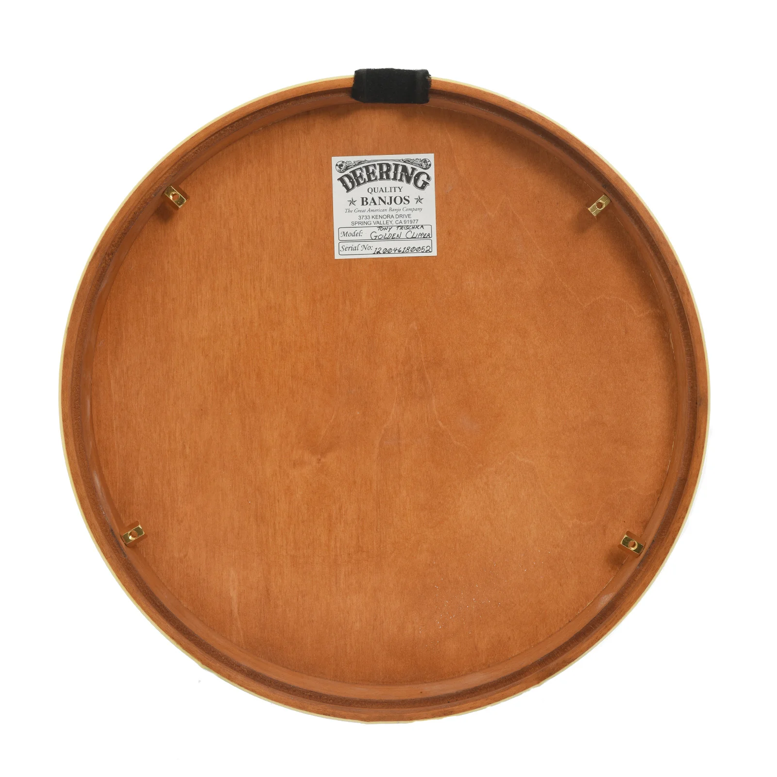 Deering Tony Trischka Golden Clipper Resonator Banjo (2018) - Image 16