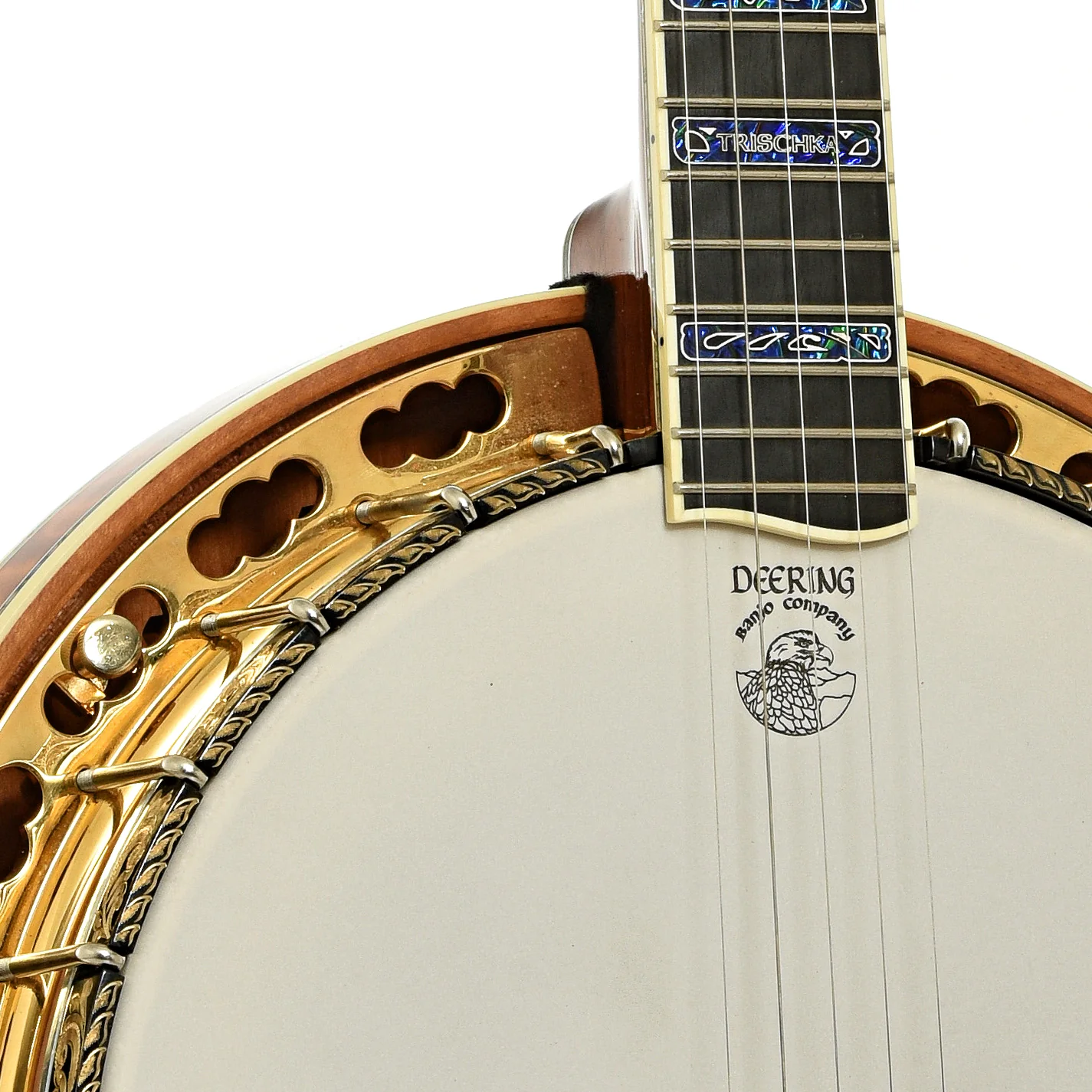 Deering Tony Trischka Golden Clipper Resonator Banjo (2018) - Image 6