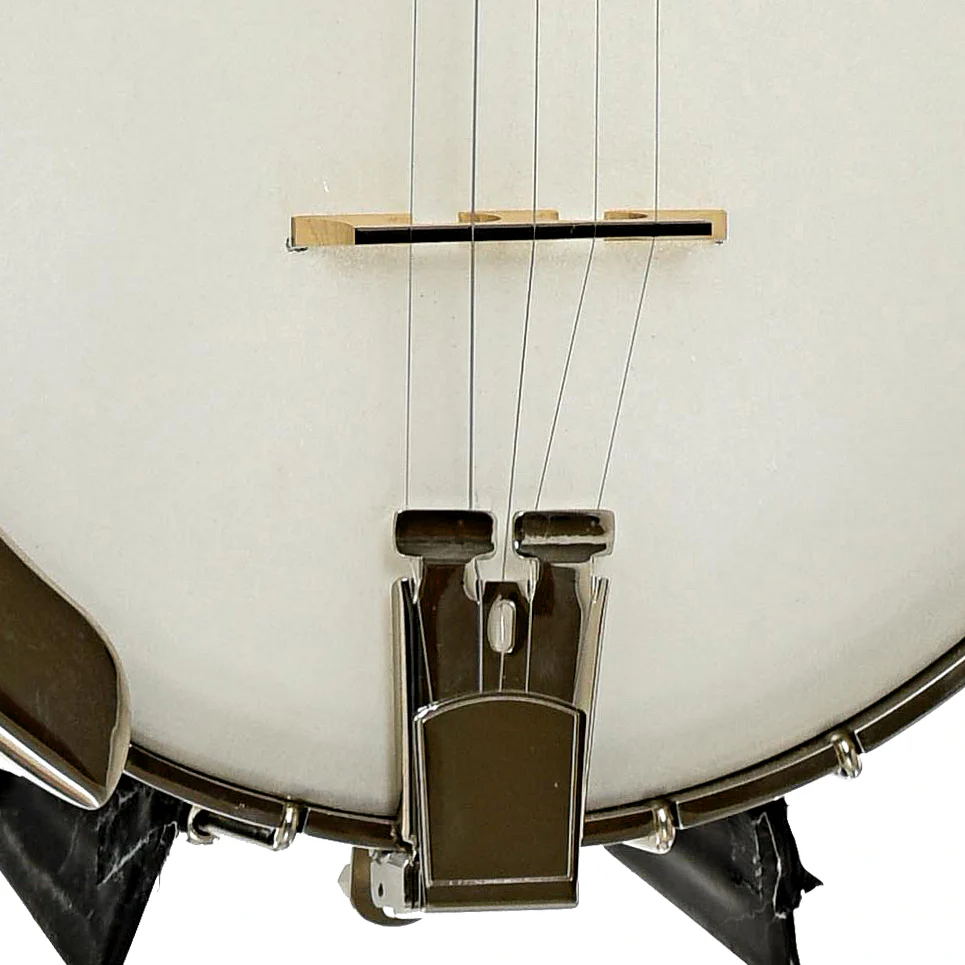 Deering Vega LN Custom Extra-Long Neck 5-string Banjo (1997) - Image 4