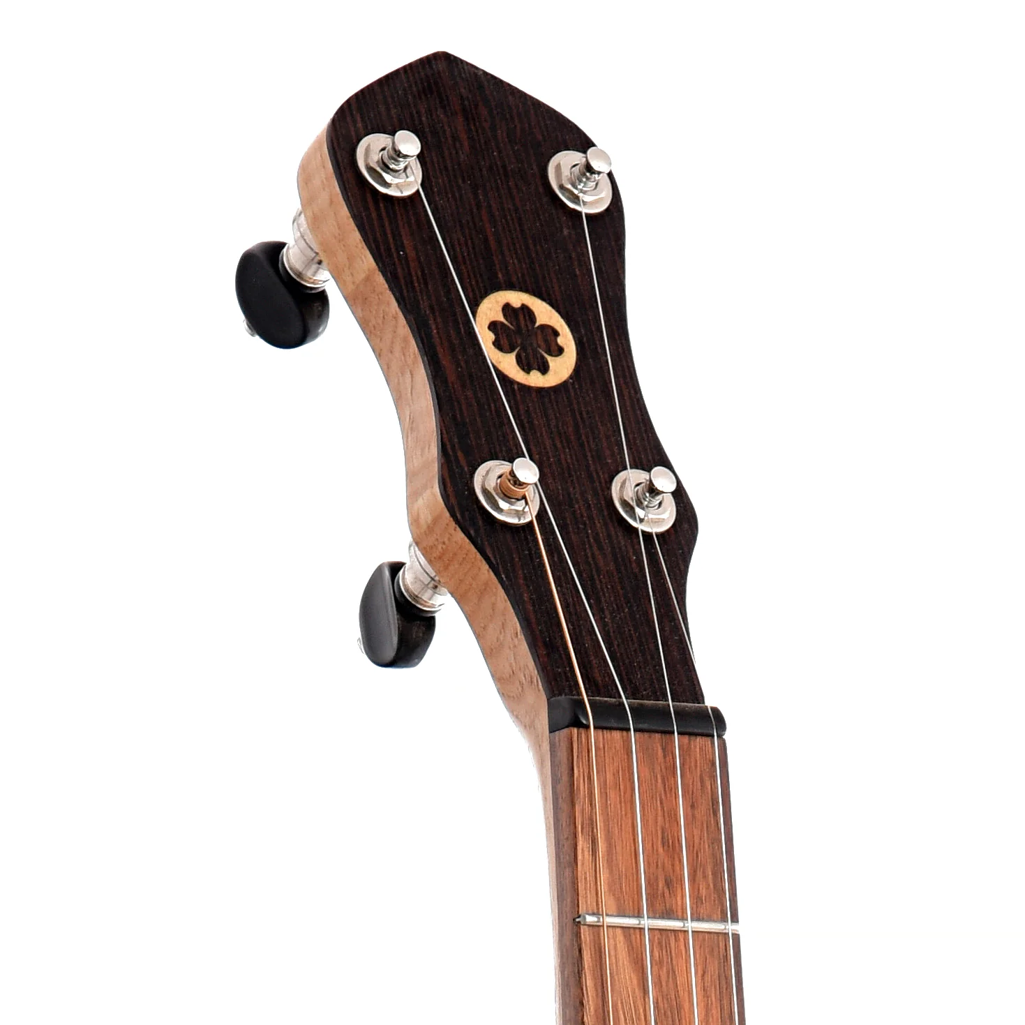 Dogwood Banjo Co. 12in Openback Banjo, No. 154 - Image 6