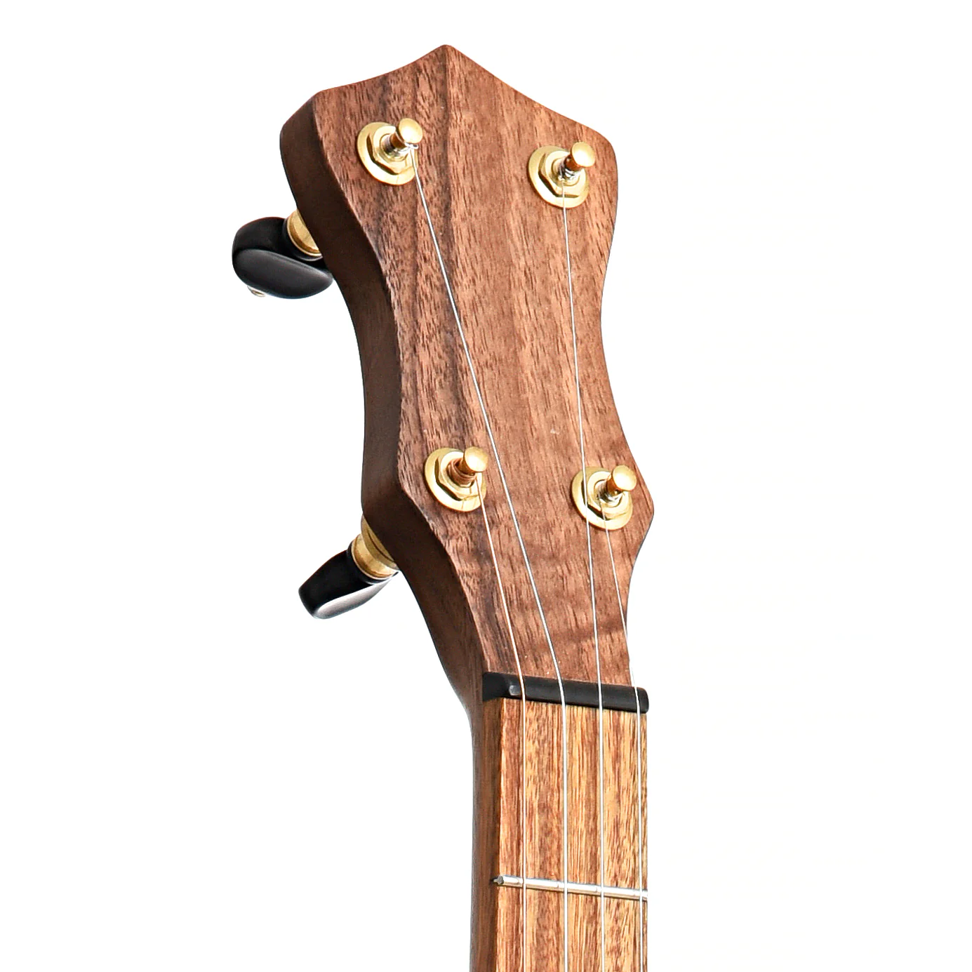 Dogwood Banjo Co. 12in Openback Banjo, No. 163 - Image 6