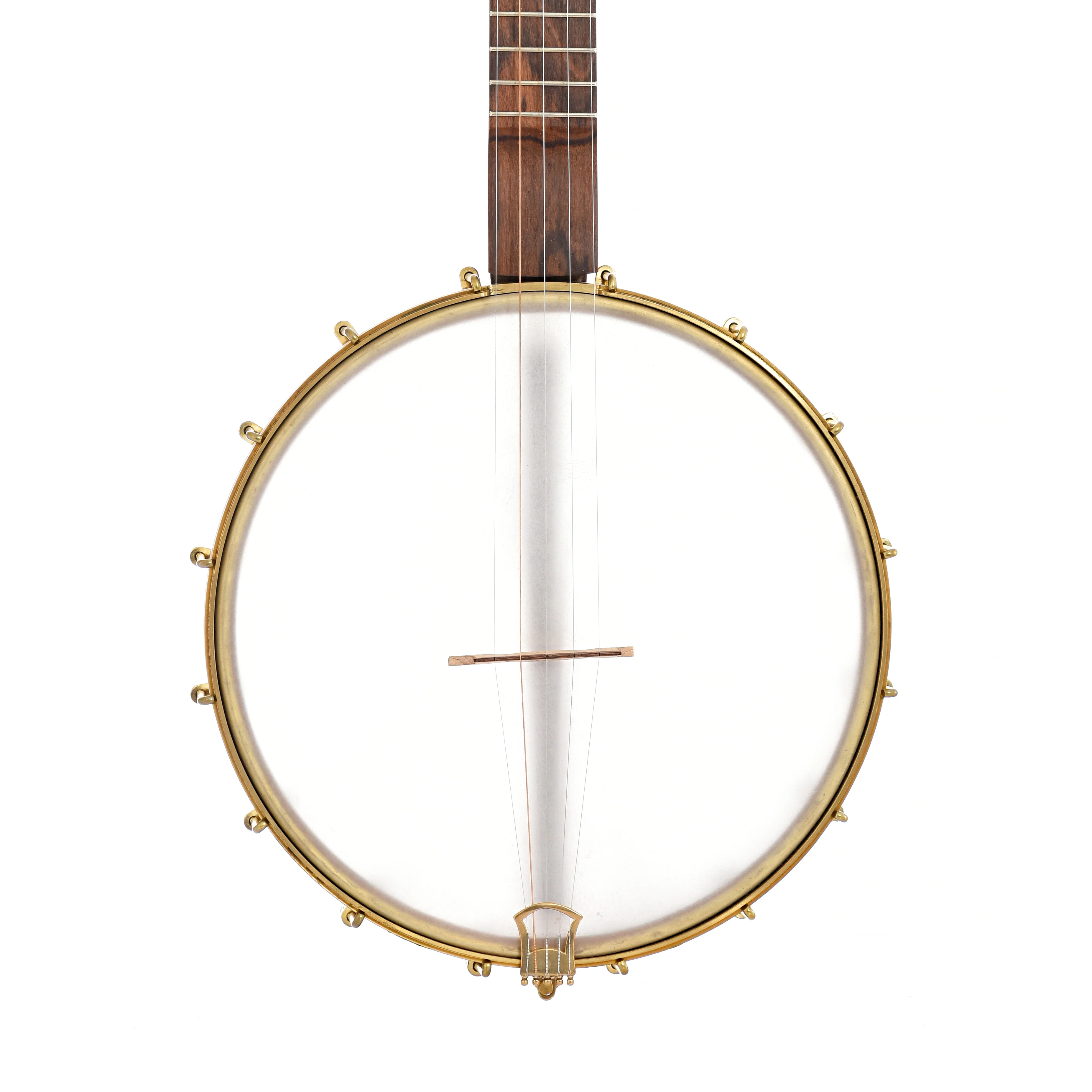 Dogwood Banjo Co. 12in Openback Banjo & Gigbag, No. 202 - Image 2