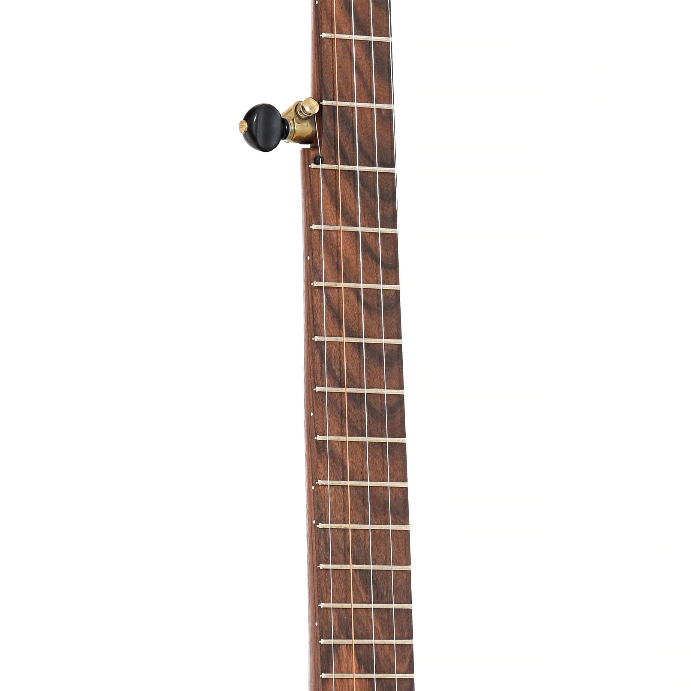 Dogwood Banjo Co. 12in Openback Banjo & Gigbag, No. 202 - Image 6