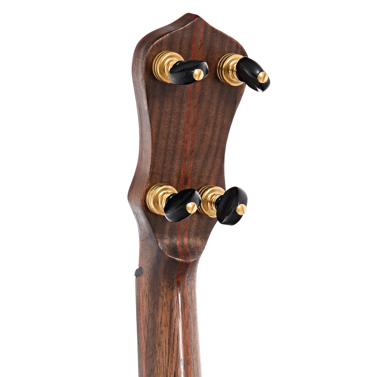 Dogwood Banjo Co. 12in Openback Banjo & Gigbag, No. 202 - Image 8