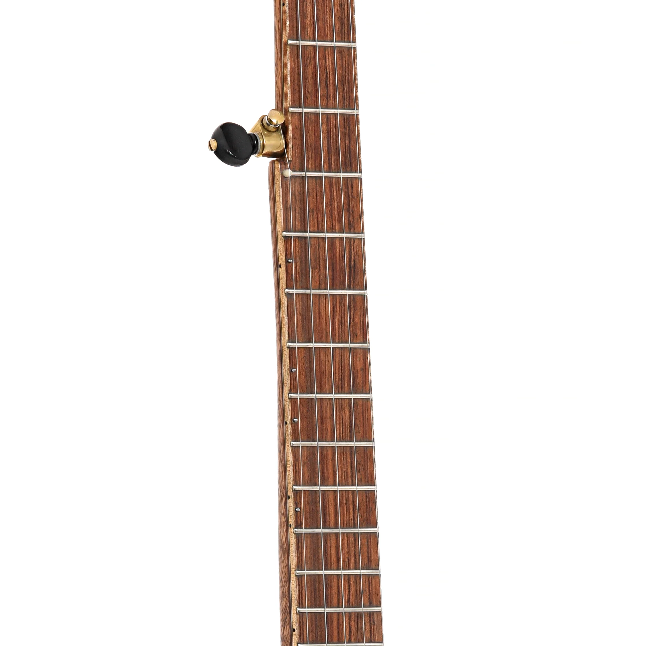 Dogwood Banjo Co. Custom Mango 12" Open Back Banjo (c.2016) - Image 6