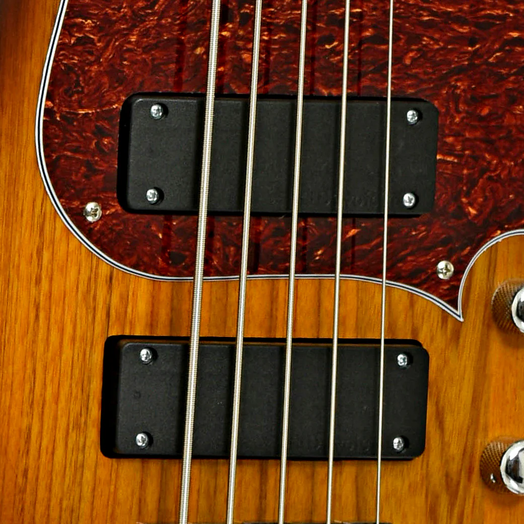 Duvoisin Bass Standard 5-String Electric Bass (2010s) - Image 6
