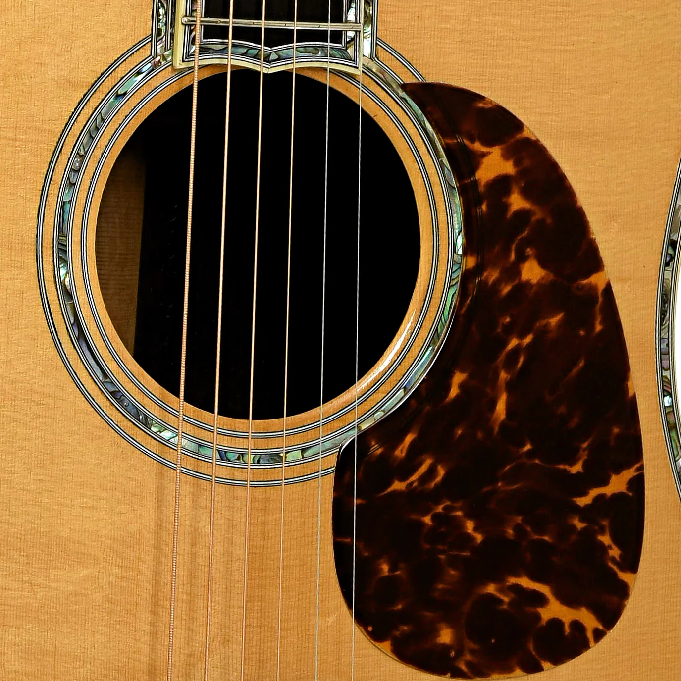 E.A. Foley Brazilian Dreadnought Acoustic Guitar (2000) - Image 7