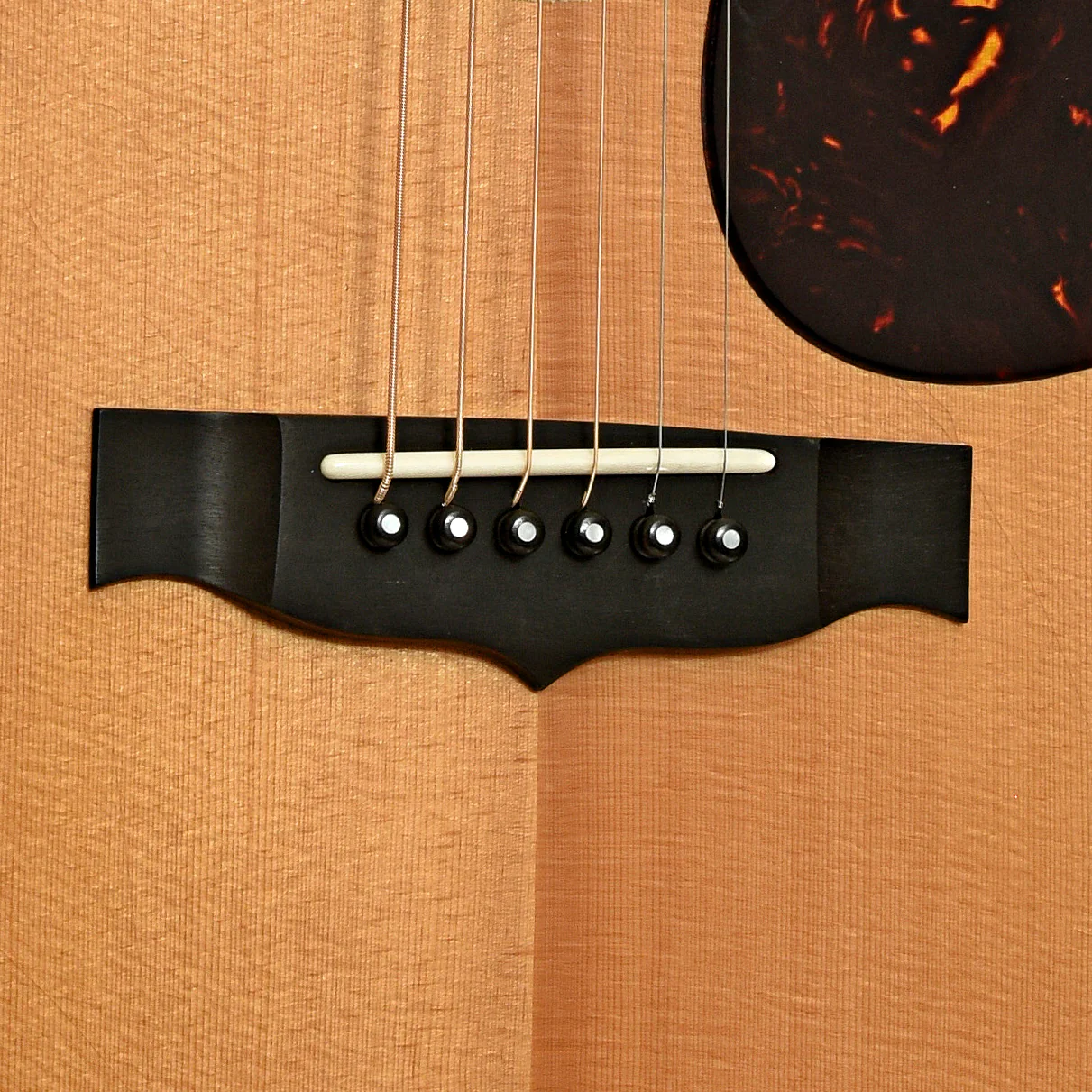 East Virginia Guitars FP-R1 Acoustic Guitar (c.2010) - Image 5