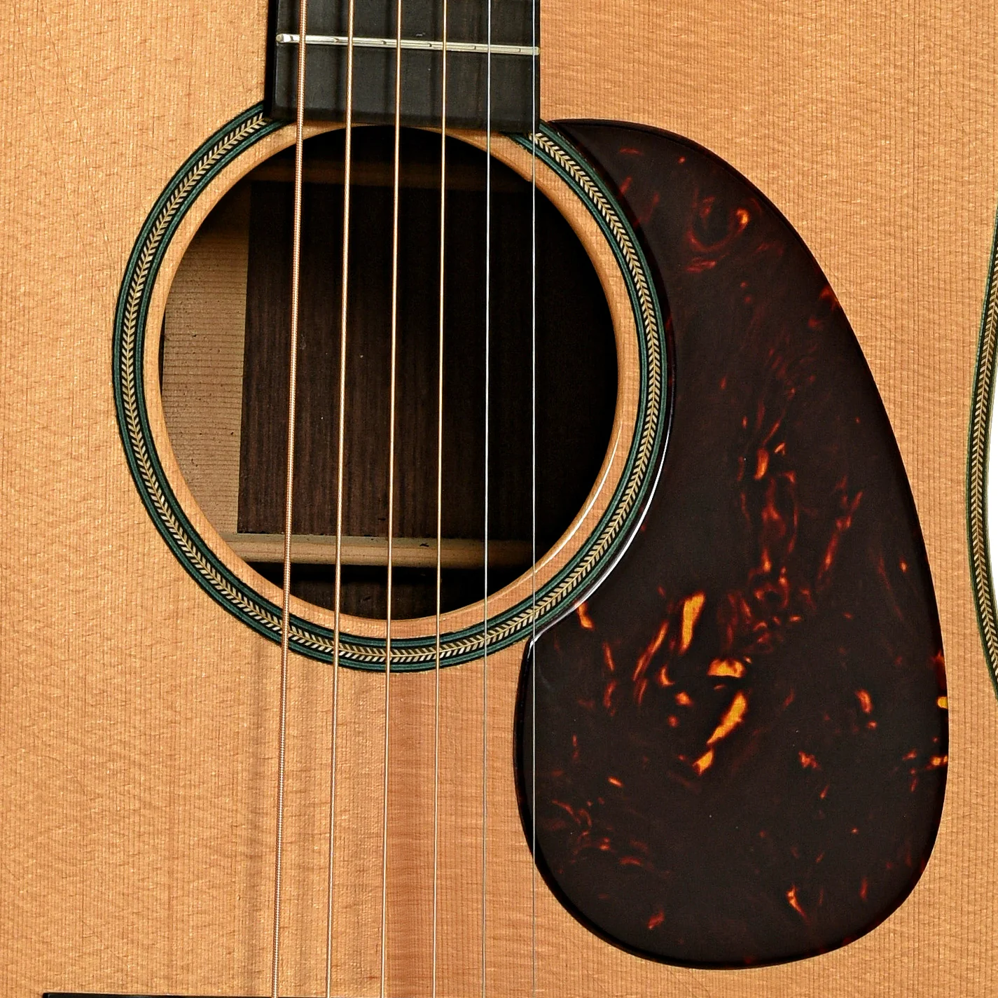 East Virginia Guitars FP-R1 Acoustic Guitar (c.2010) - Image 6