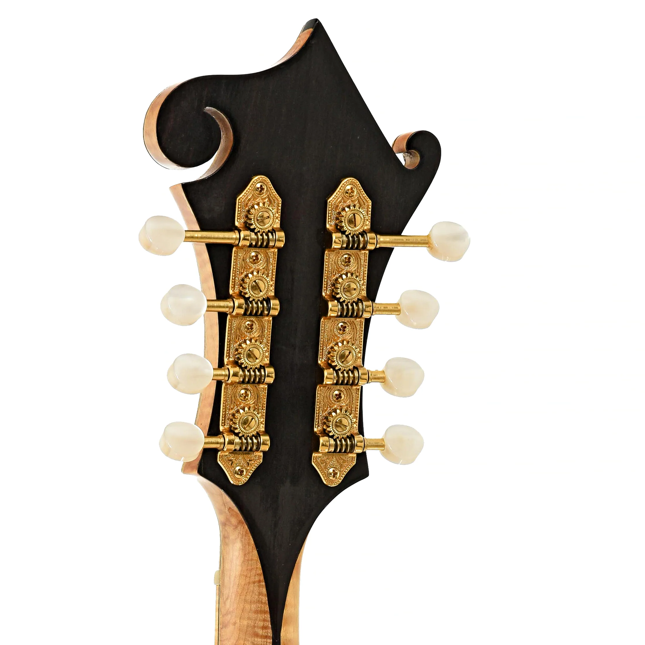 Eastman 904D 2-Point Mandolin (2006) - Image 9