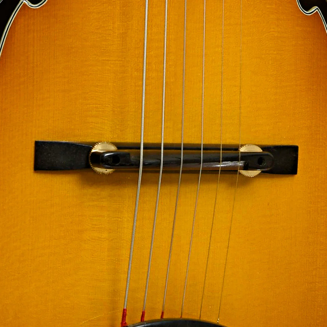 Eastman AR805-GB Archtop Hollowbody Acoustic Guitar (2024) - Image 6