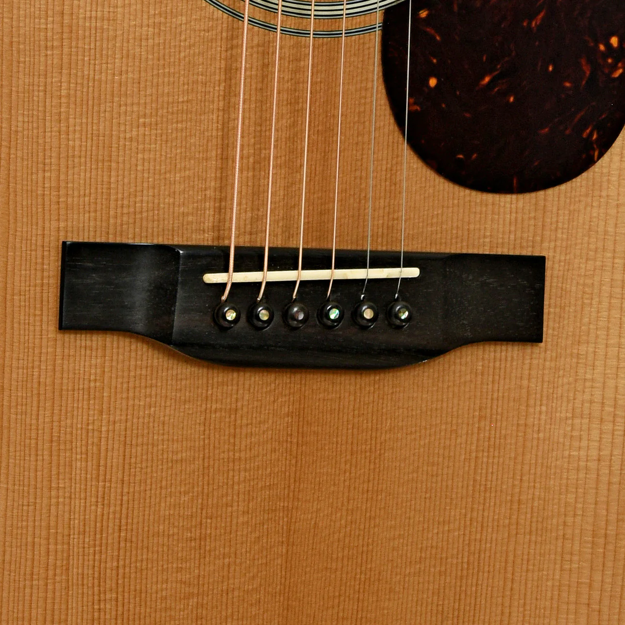 Eastman E20 OM-TC Acoustic Guitar (2022) - Image 5