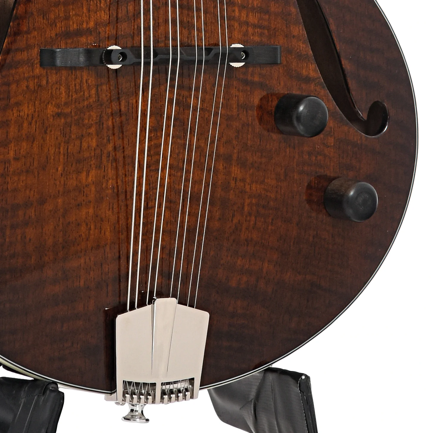 Eastman ER-M El Rey Mandolin & Case - Image 4