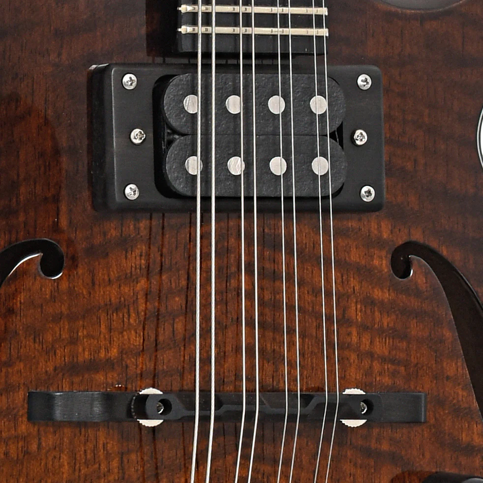 Eastman ER-M El Rey Mandolin & Case - Image 5