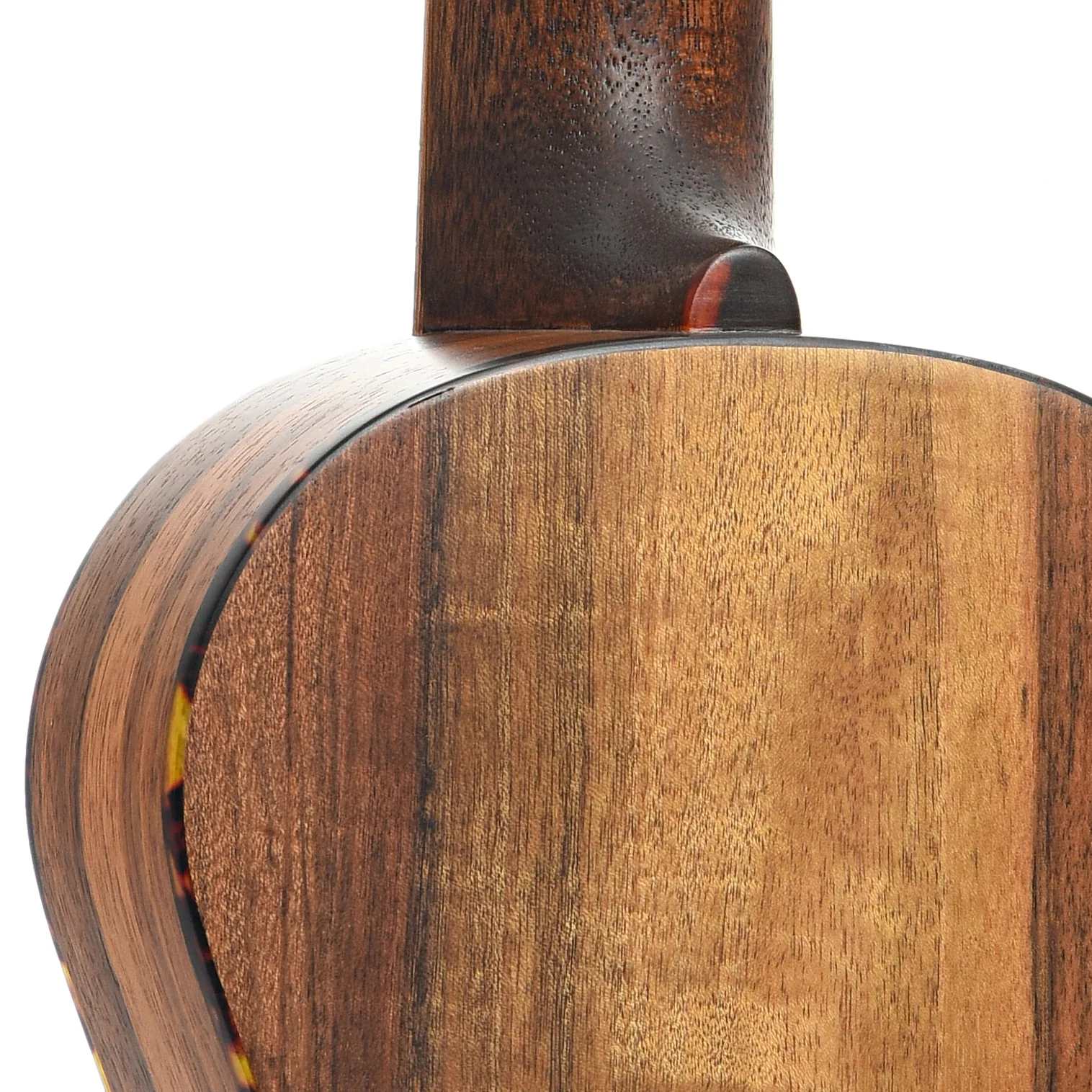 Eastman EU2-C Concert Ukulele & Gigbag - Image 10