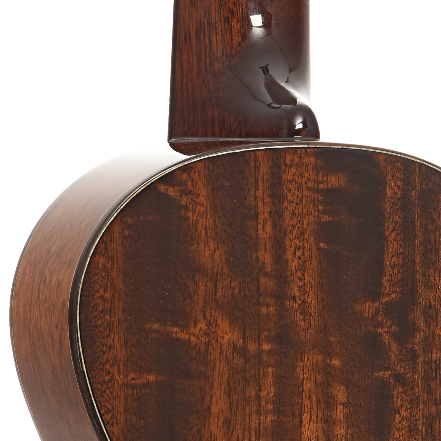 Eastman EU3C Concert Ukulele & Case - Image 10