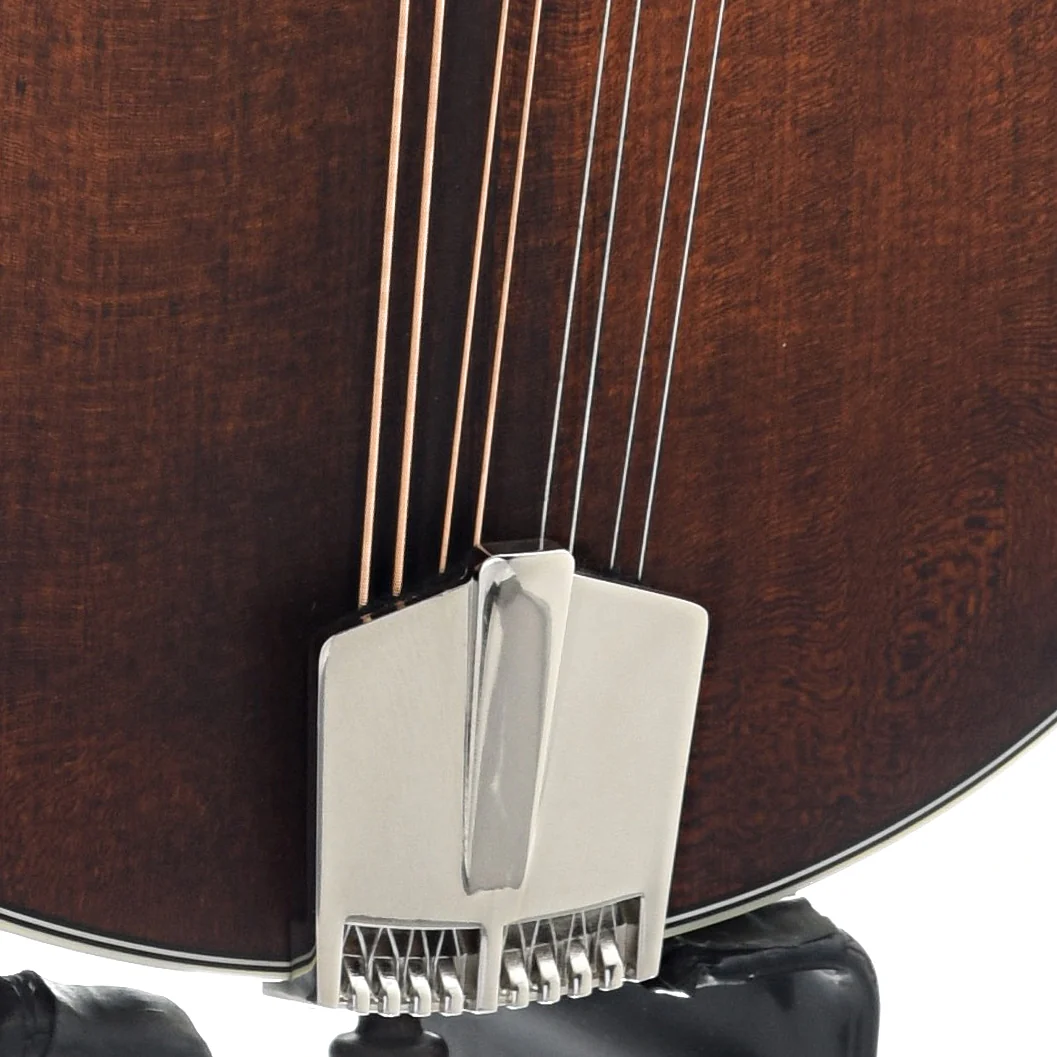 Eastman MD304 Classic Mandolin & Gigbag - Image 6