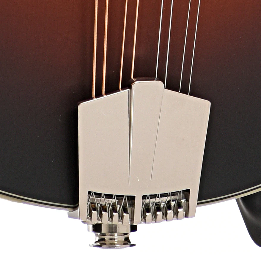 Eastman MD304E-SB Mandolin & Gigbag, Sunburst - Image 5