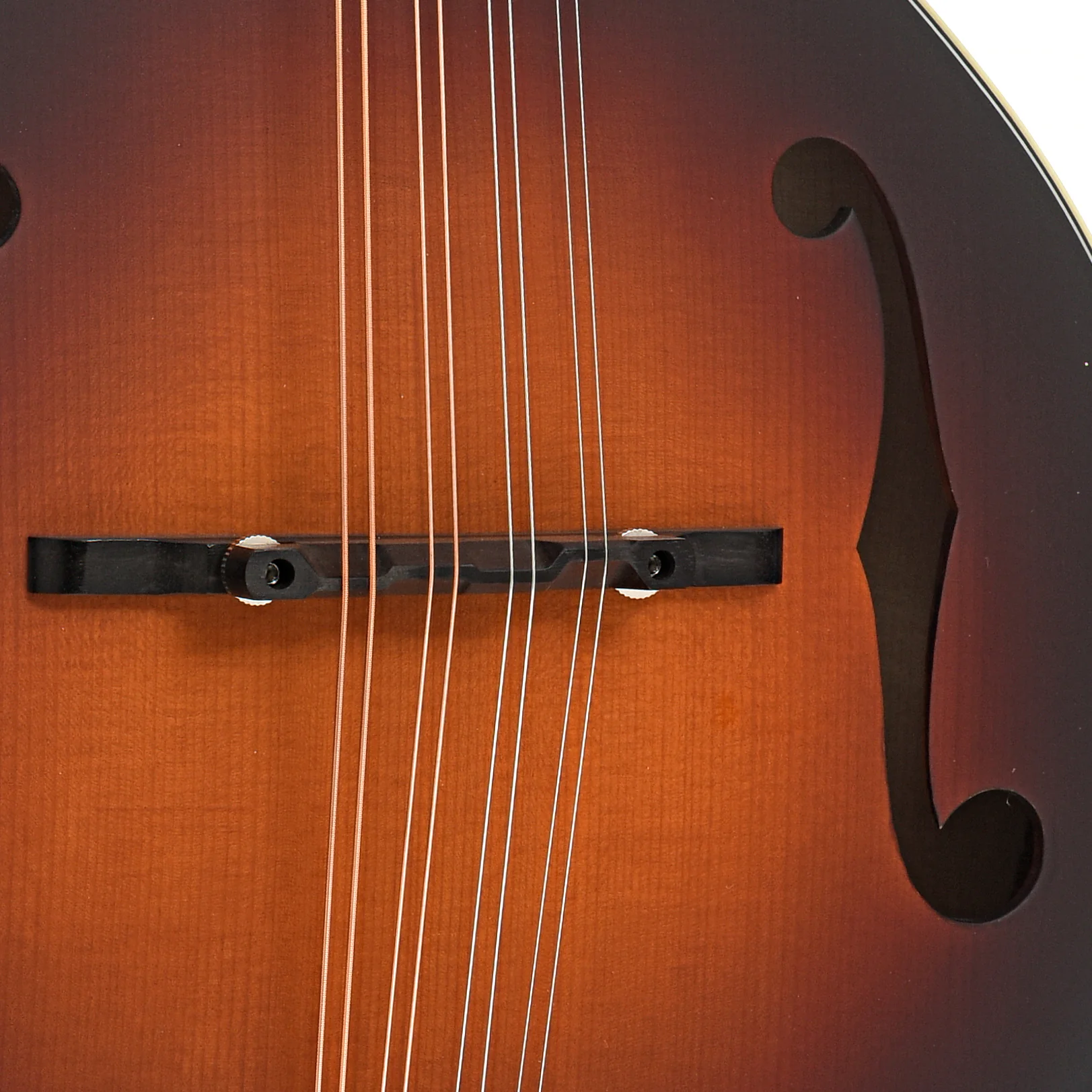 Eastman MD305E-SB Mandolin & Gigbag, Sunburst - Image 7