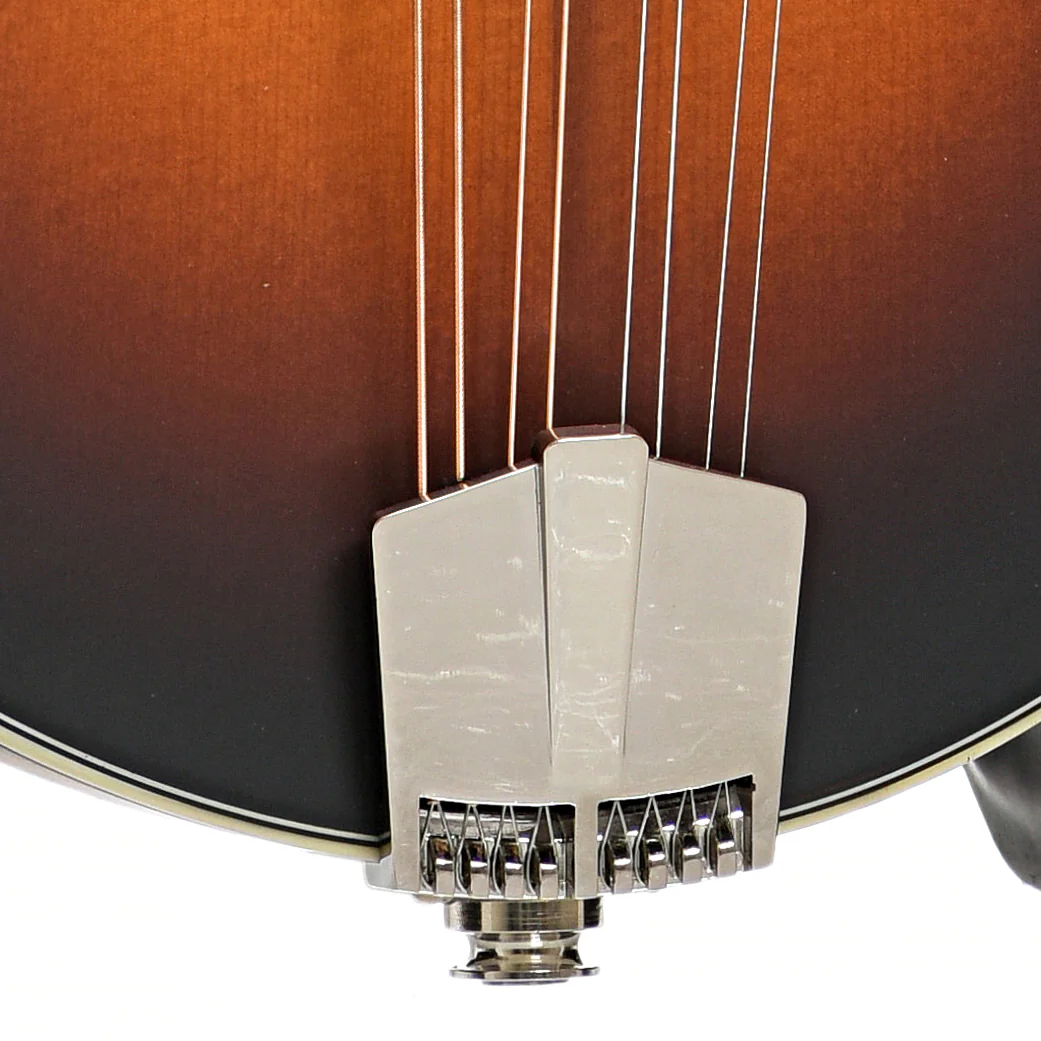 Eastman MD314E-SB Mandolin & Gigbag, Sunburst - Image 5
