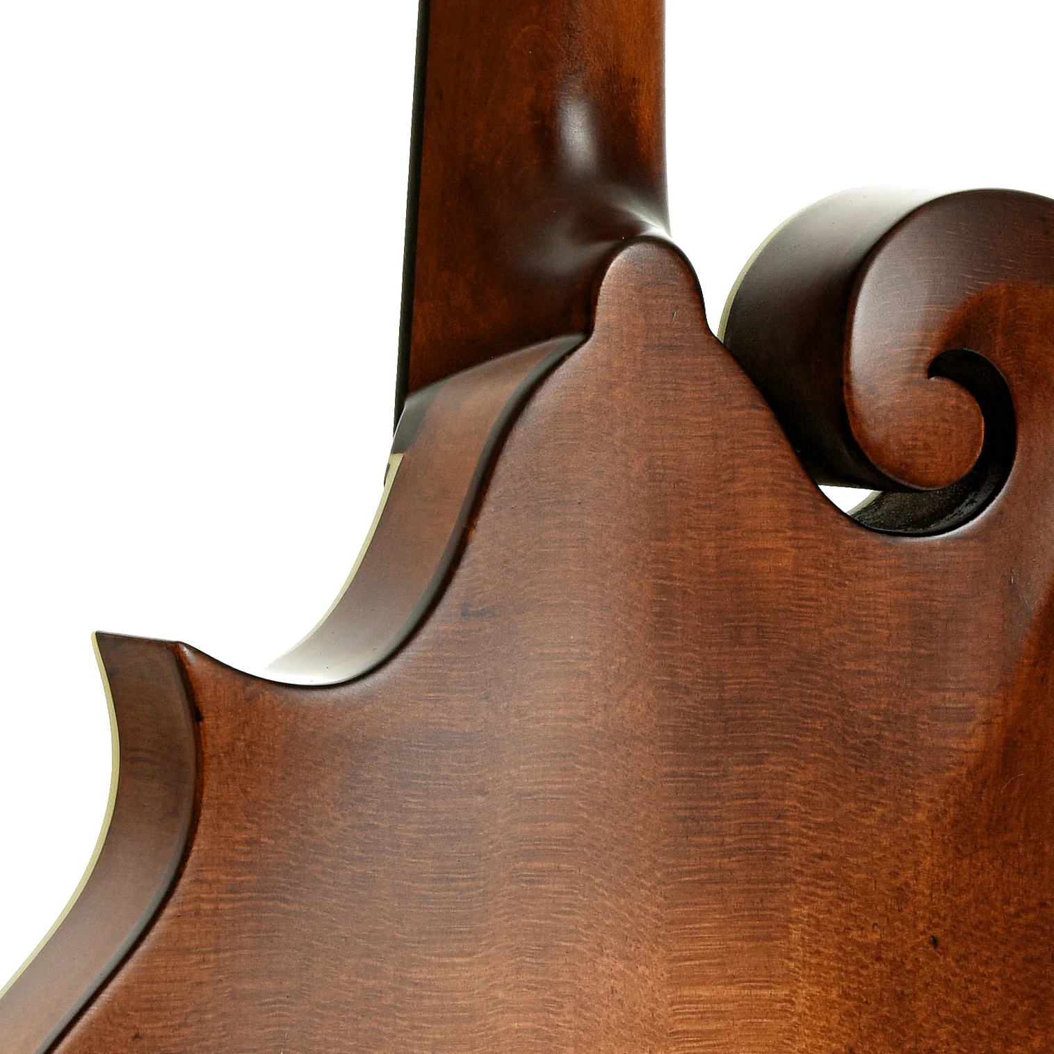 Eastman MD315 Adirondack Wide Neck Amberburst Mandolin & Case - Image 10