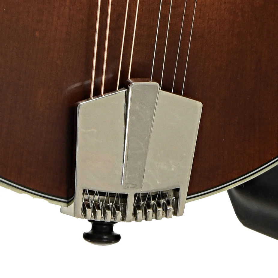 Eastman MD315 Adirondack Wide Neck Amberburst Mandolin & Case - Image 5