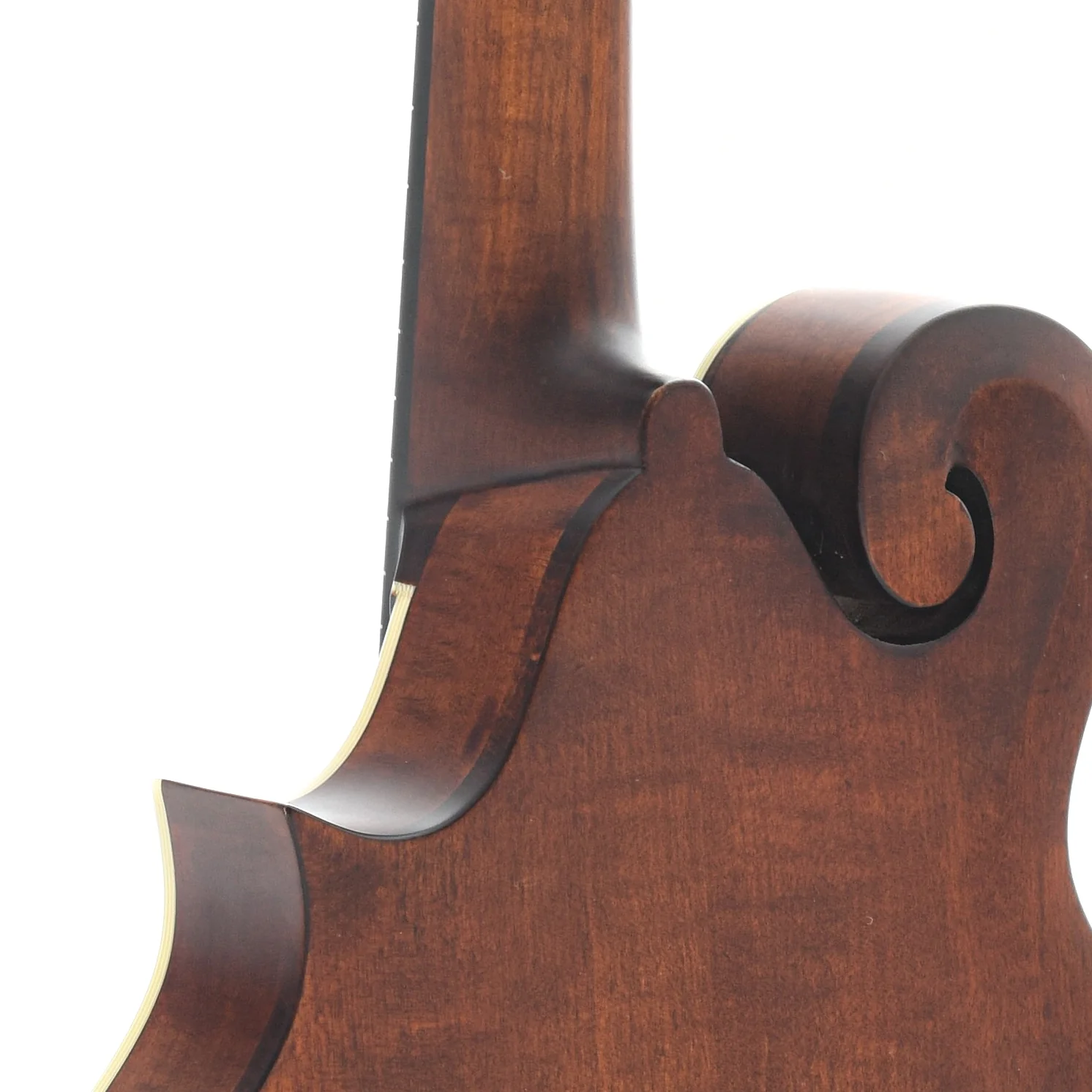Eastman MD315 Classic Mandolin & Gigbag - Image 10