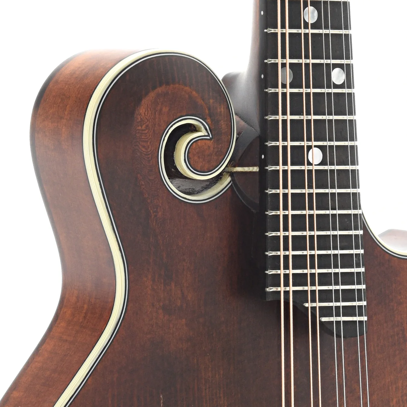 Eastman MD315 Classic Mandolin & Gigbag - Image 6