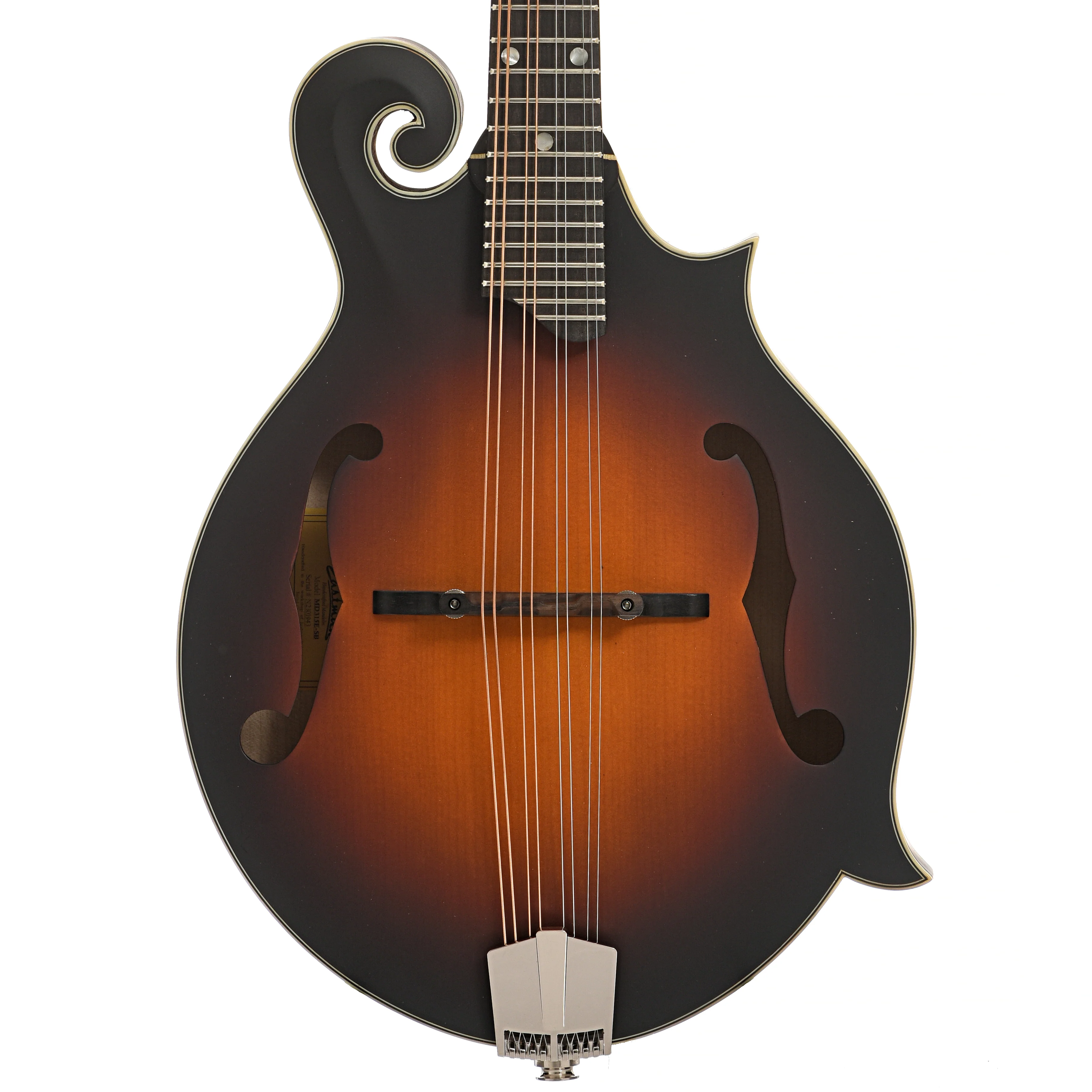 Eastman MD315E-SB Mandolin & Gigbag, Sunburst - Image 2