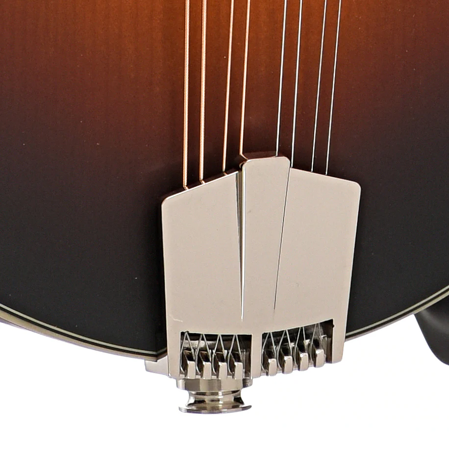 Eastman MD315E-SB Mandolin & Gigbag, Sunburst - Image 5