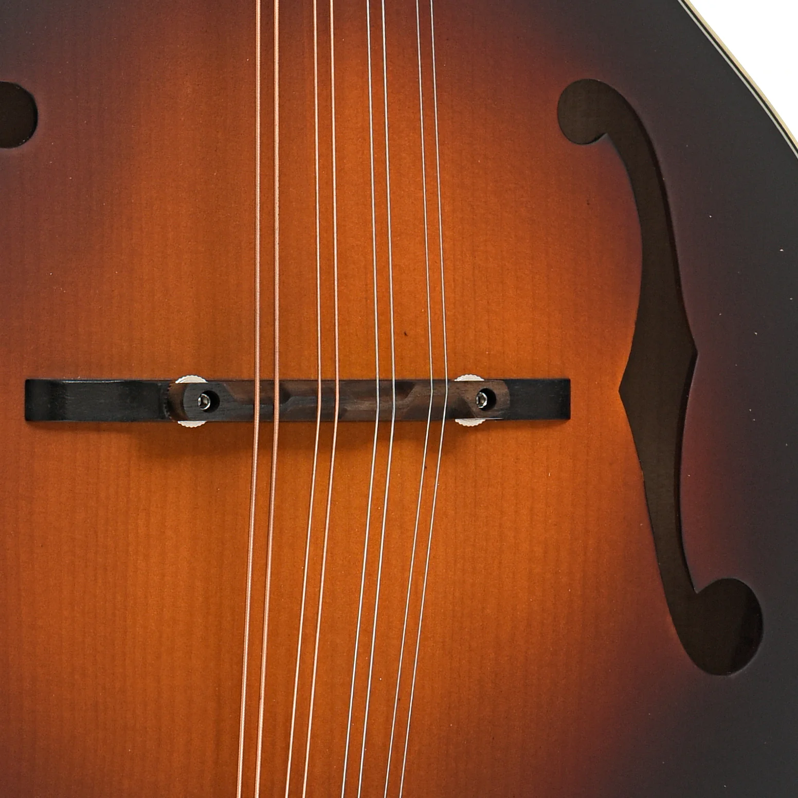 Eastman MD315E-SB Mandolin & Gigbag, Sunburst - Image 6