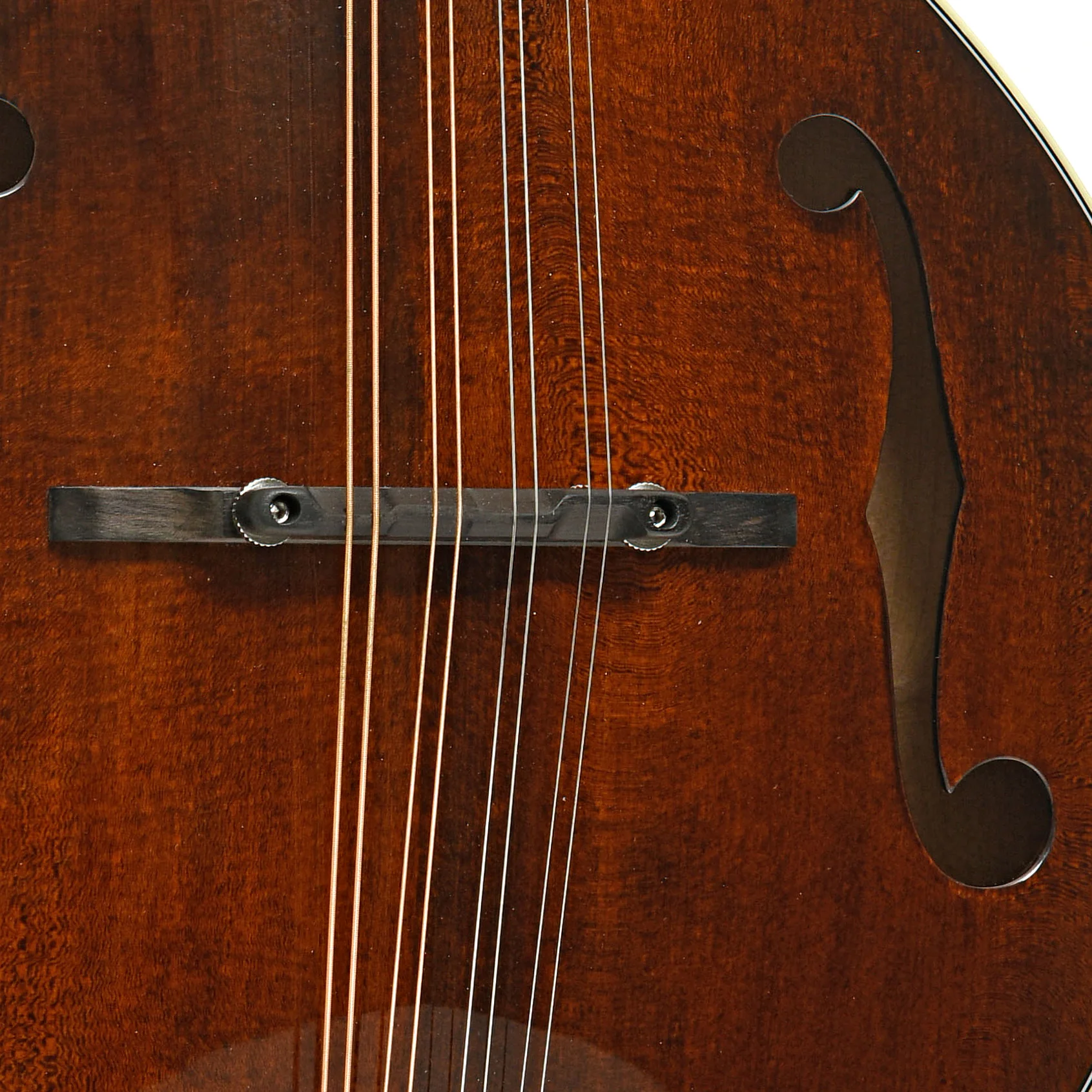 Eastman MD505 Classic Mandolin & Case - Image 6