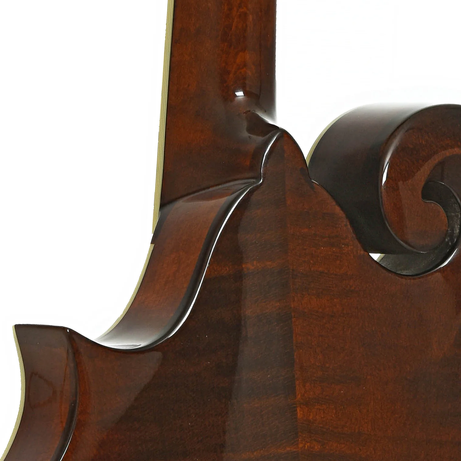 Eastman MD514 BK LTD F-Style Mandolin (2025) - Image 10