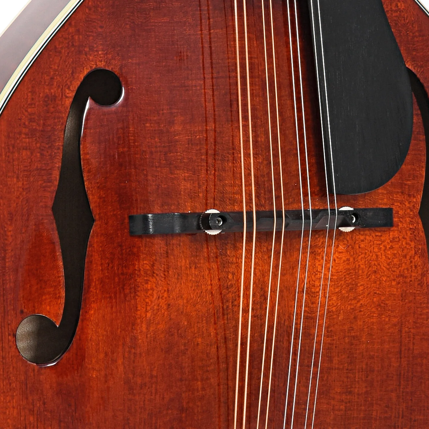 Eastman MD605 Classic Mandolin & Case - Image 6