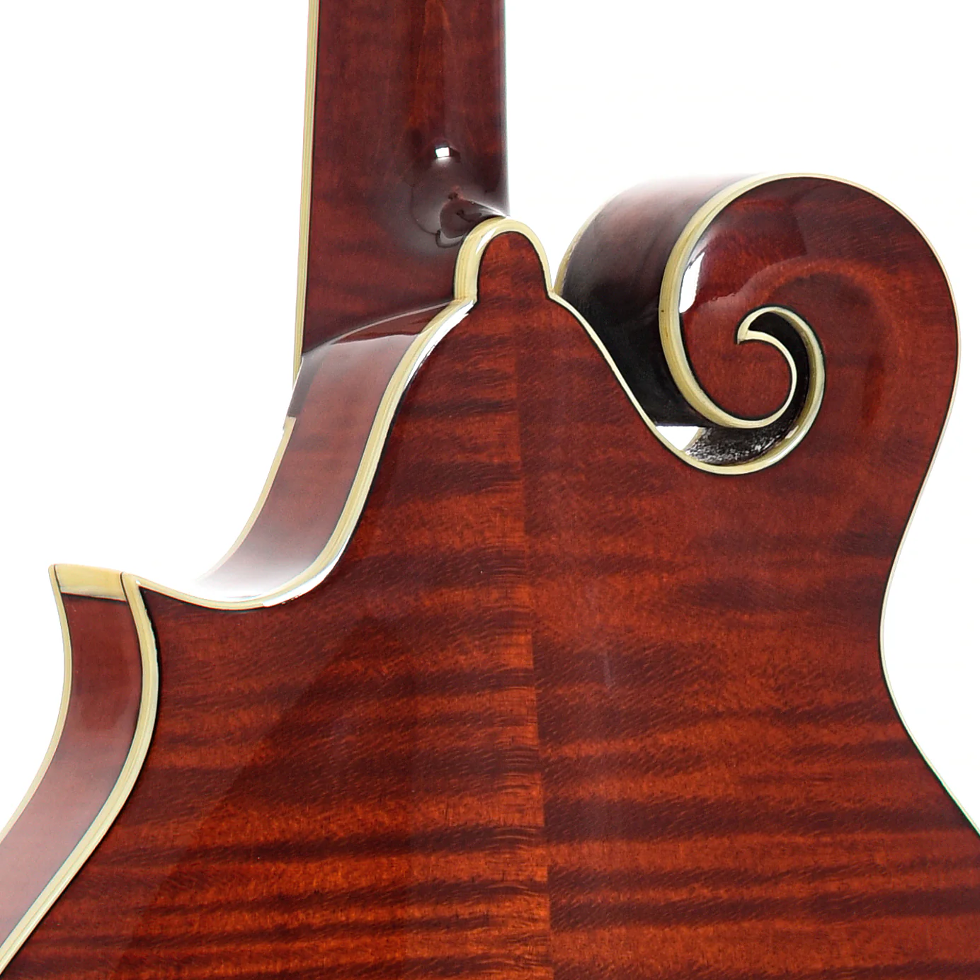 Eastman MD615 Classic Mandolin & Case - Image 10