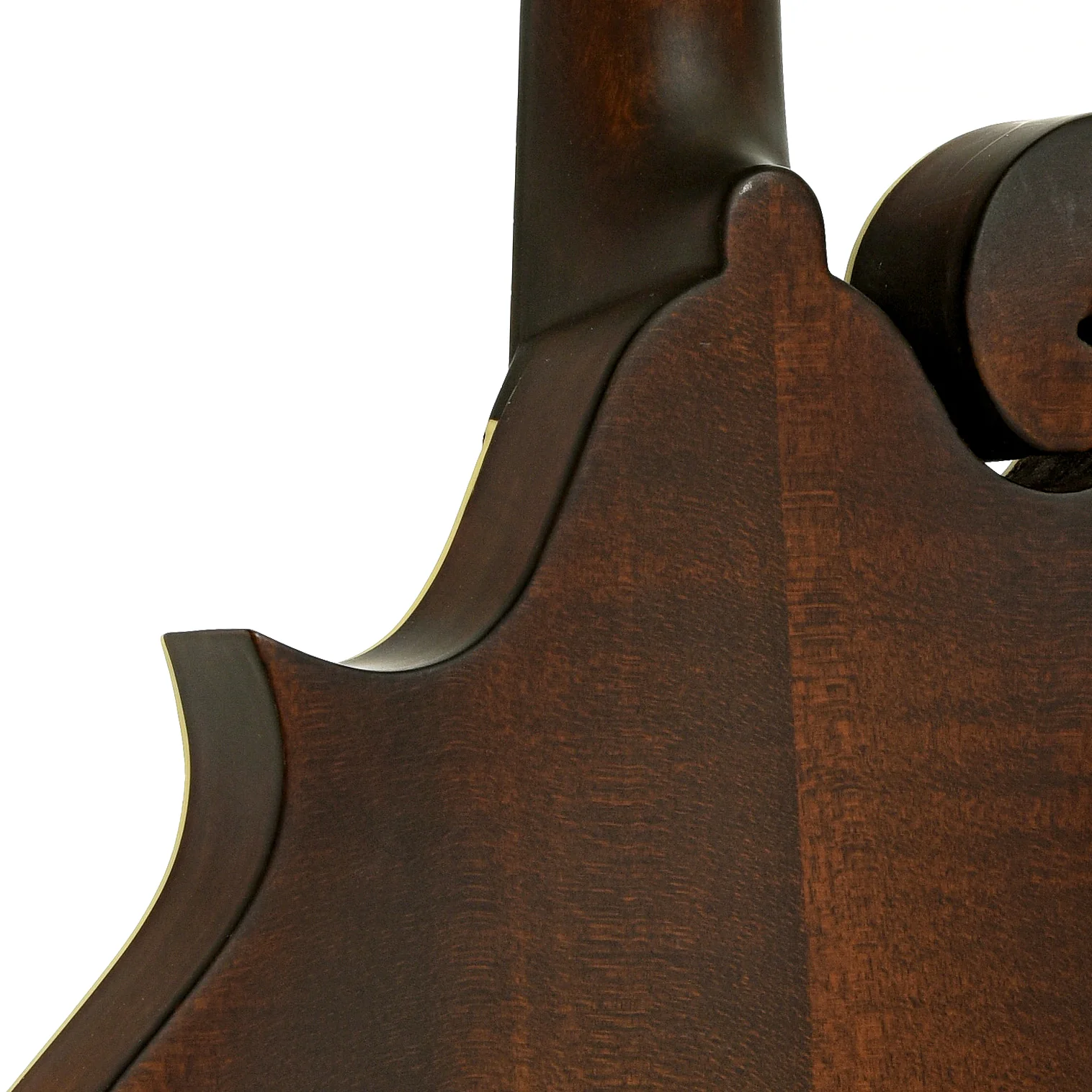 Eastman MDA315 Mandola (2022) - Image 10