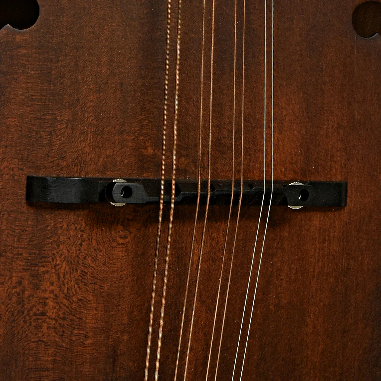 Eastman MDA315 Mandola (2022) - Image 6