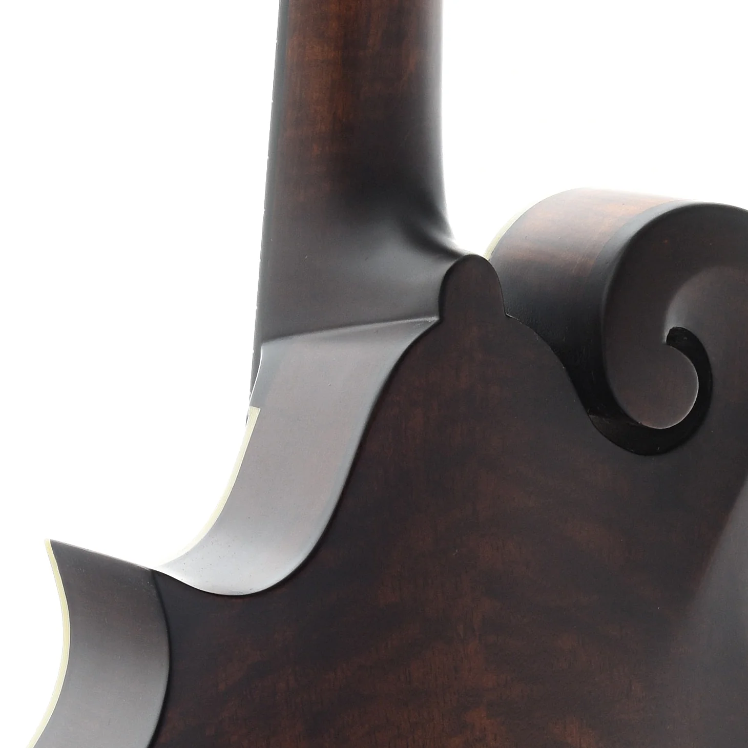 Eastman MDA315 Classic Mandola & Gigbag - Image 9