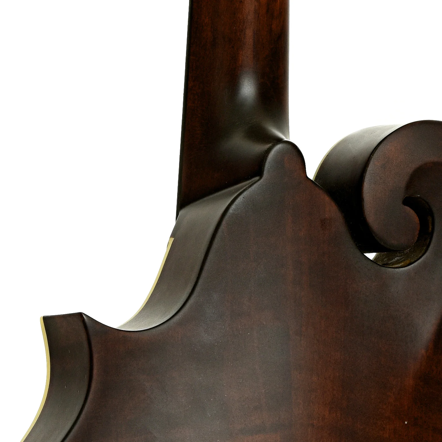 Eastman MDA315 Mandola (2024) - Image 10