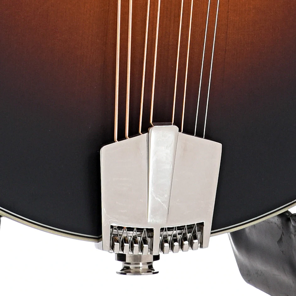 Eastman MDA315E-SB Mandola & Gigbag, Sunburst - Image 5