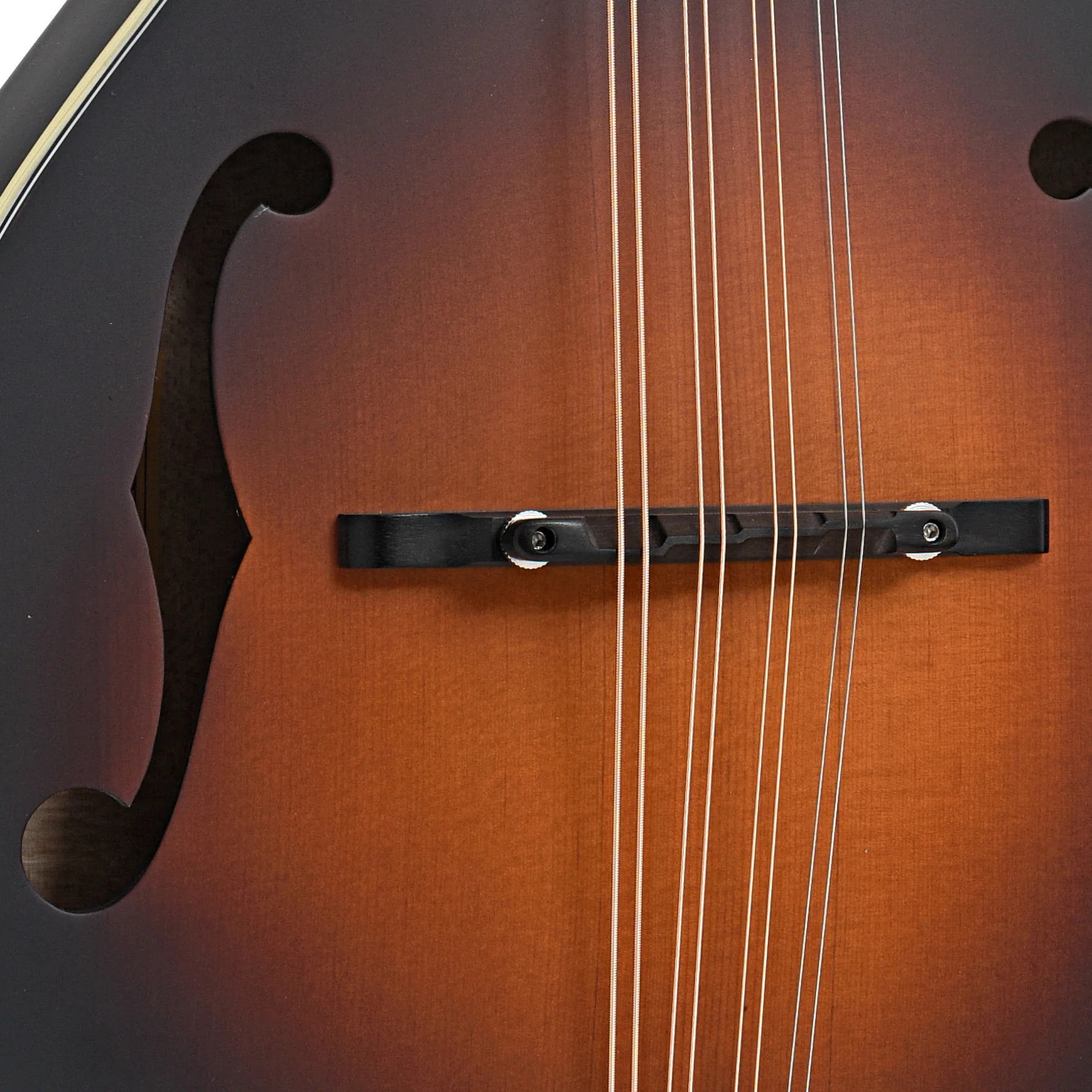 Eastman MDA315E-SB Mandola & Gigbag, Sunburst - Image 6