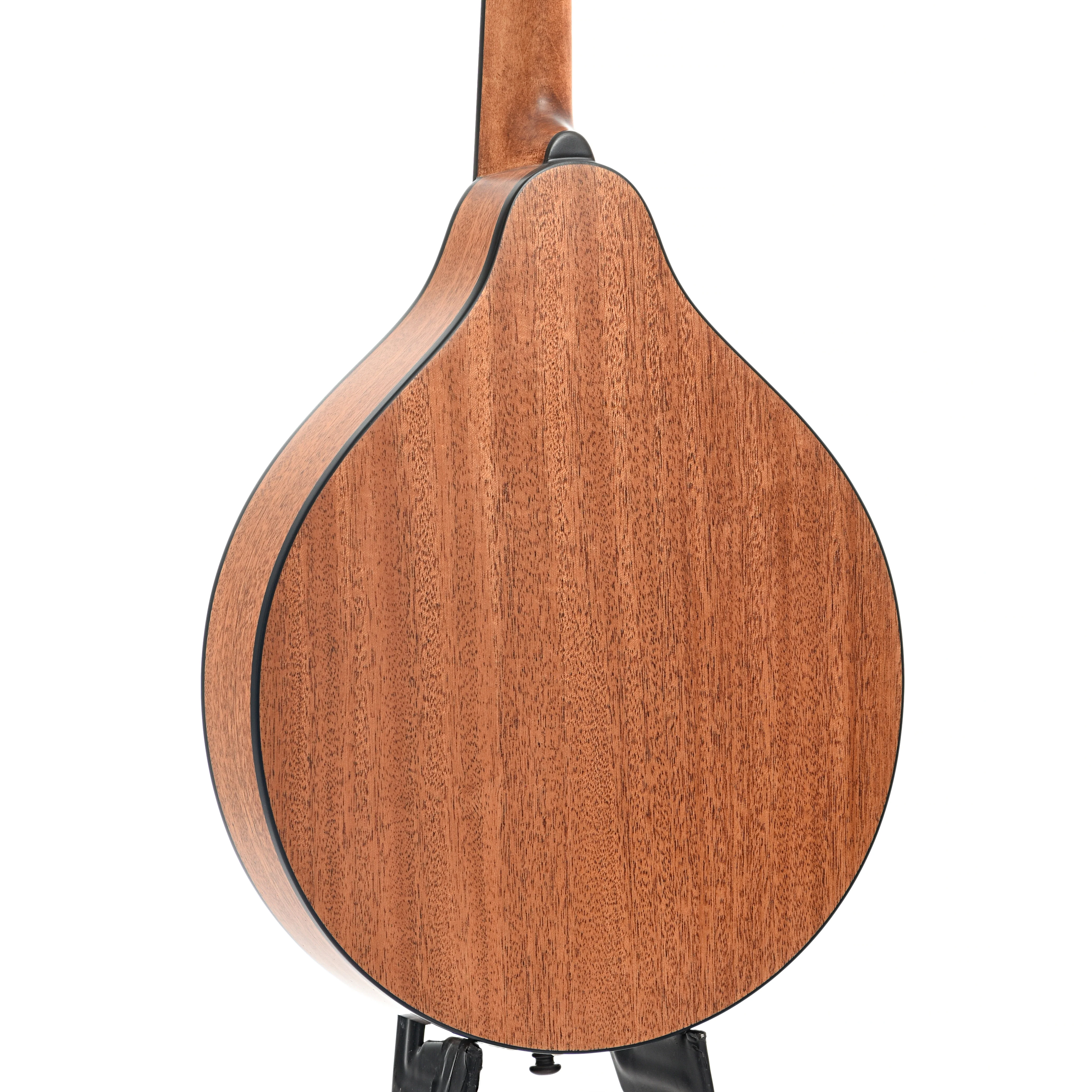 Eastman PCH-M104 Mandolin & Gigbag, Goldburst - Image 11