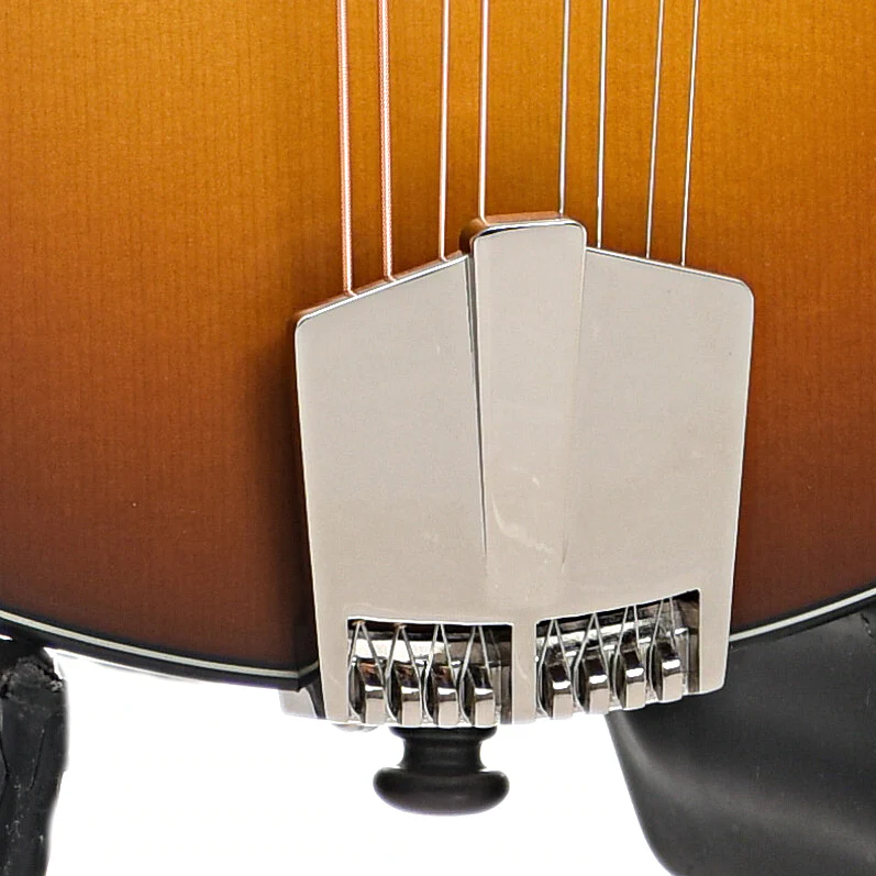 Eastman PCH-M104 Mandolin & Gigbag, Goldburst - Image 5