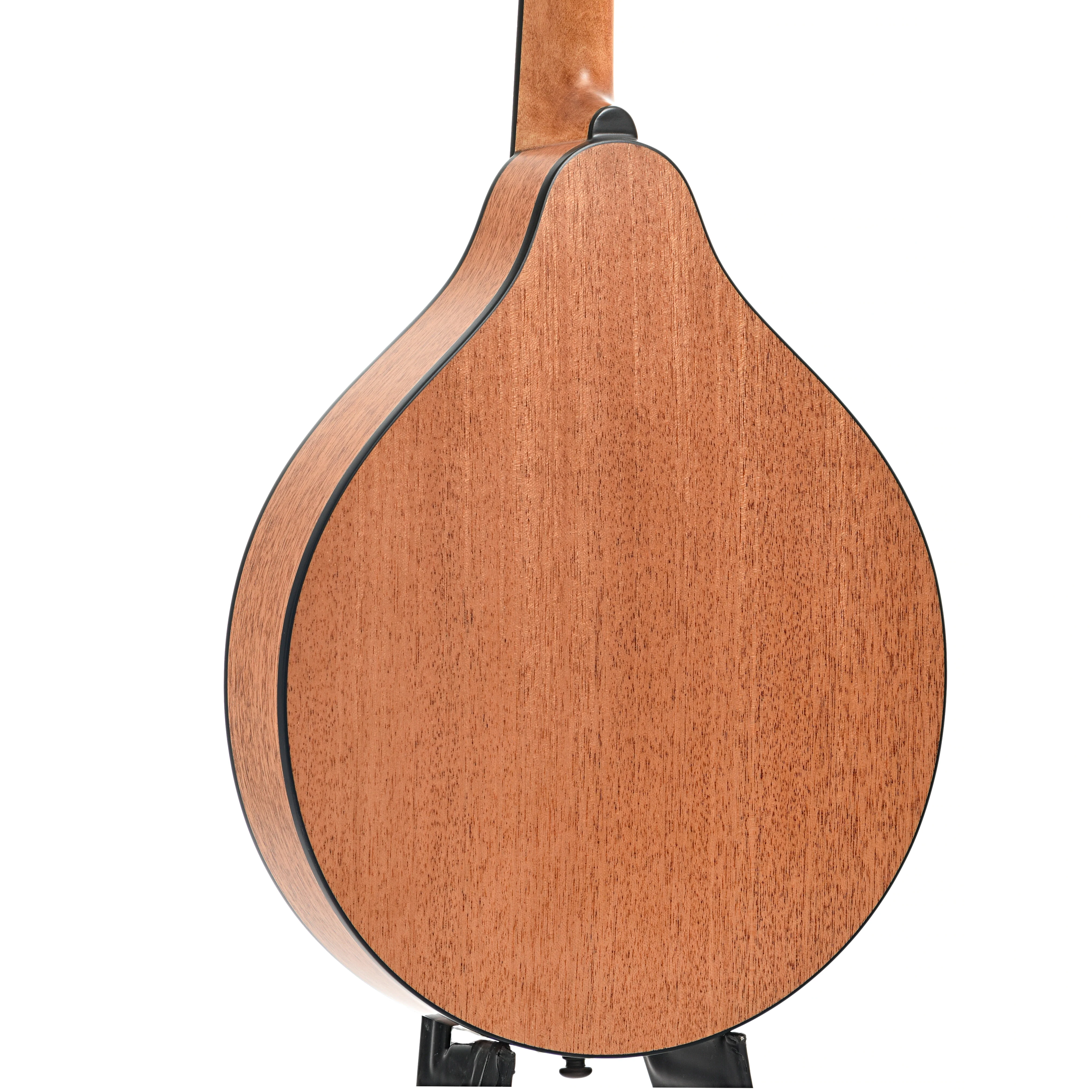 Eastman PCH-M104 Mandolin & Gigbag, Natural - Image 11