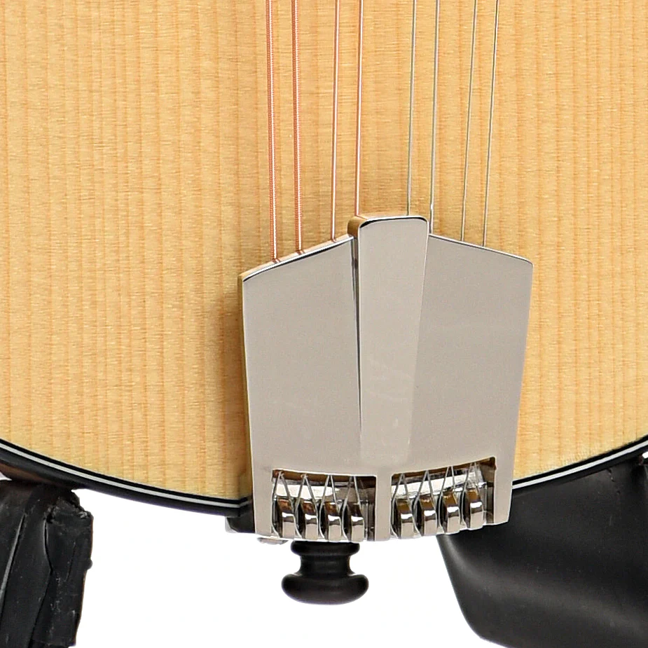 Eastman PCH-M104 Mandolin & Gigbag, Natural - Image 5