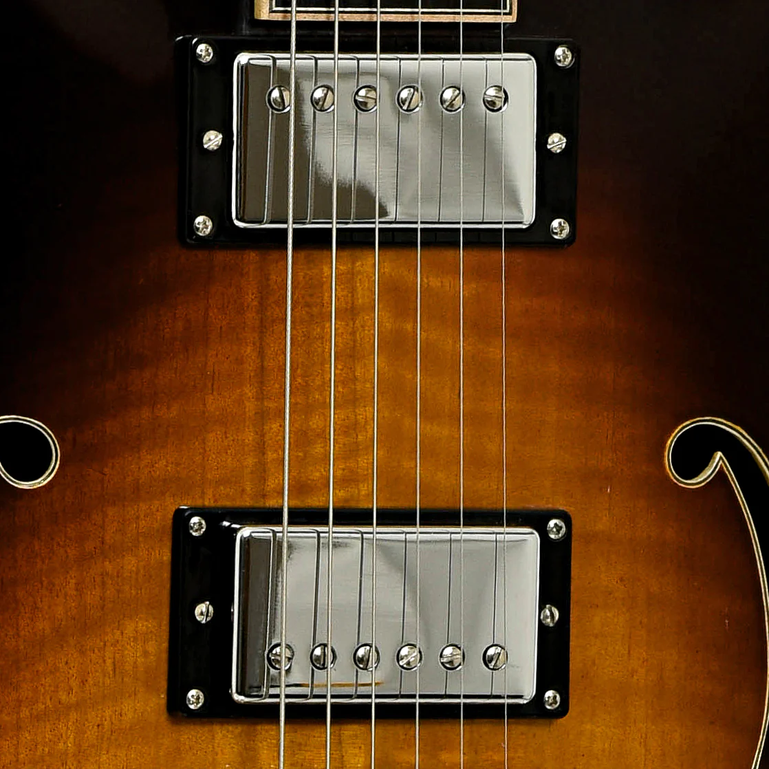 Eastman T184MX Semi-Hollowbody Electric Guitar (2015) - Image 7