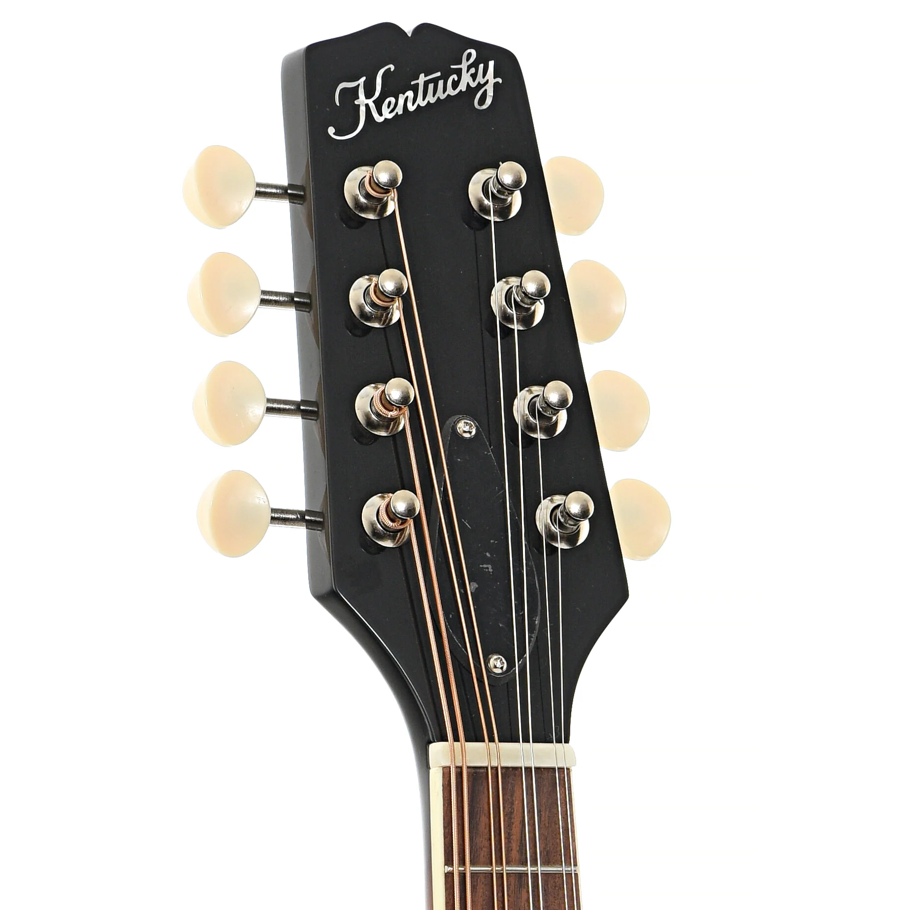 Kentucky KM-150 A-Style Mandolin Starter Pack by Elderly Instruments - Image 9
