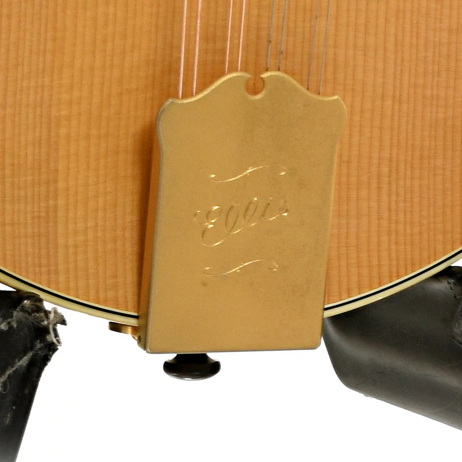 Ellis A-5 Special Mandolin (2014) - Image 5