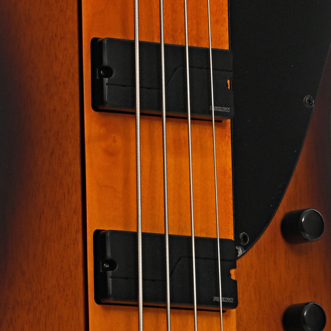 ESP LTD Phoenix-1004 4-String Bass, Tobacco Sunburst Satin - Image 6
